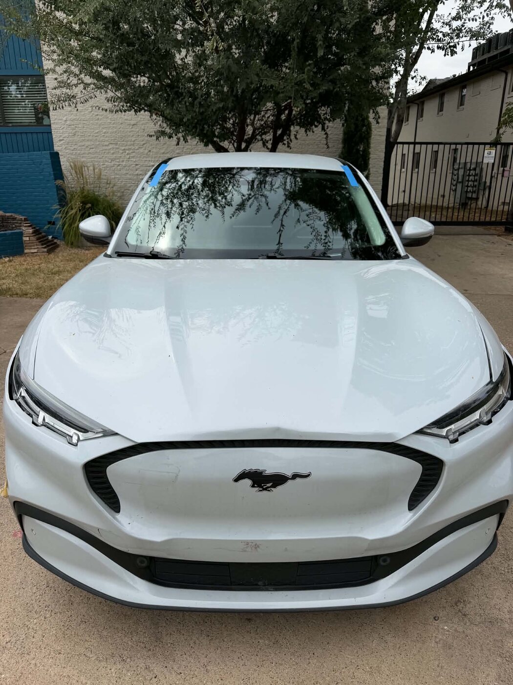 Ford Mustang windshield service